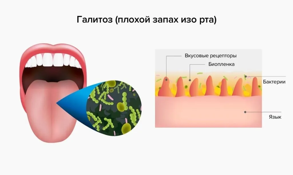 photo: Nemanex - rendelés, kedvezmény, hol kapható, vásárlás, ára, gyógyszertár